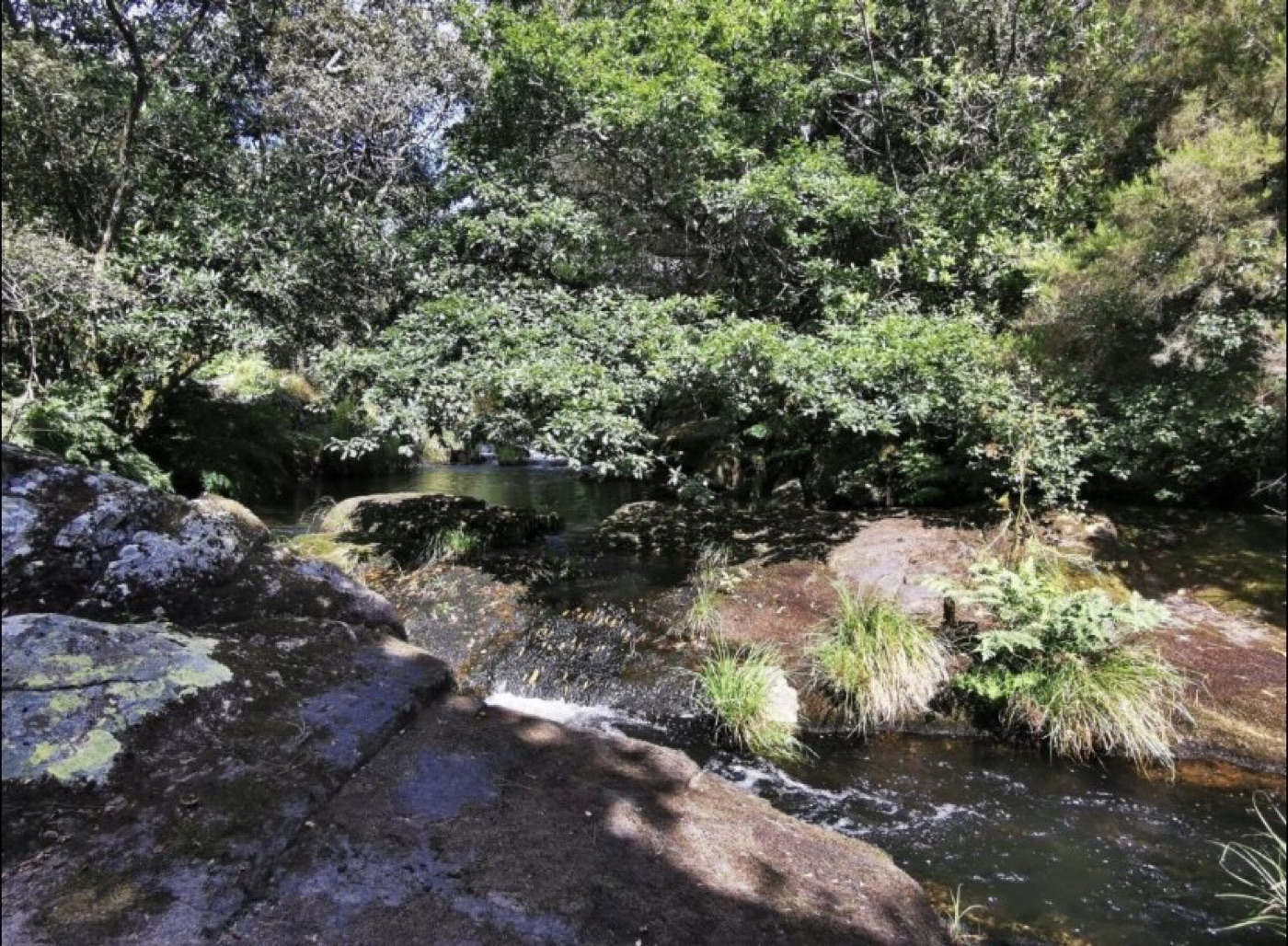 Agua, rocas y árboles en el Río Grande dentro del entorno de la casa