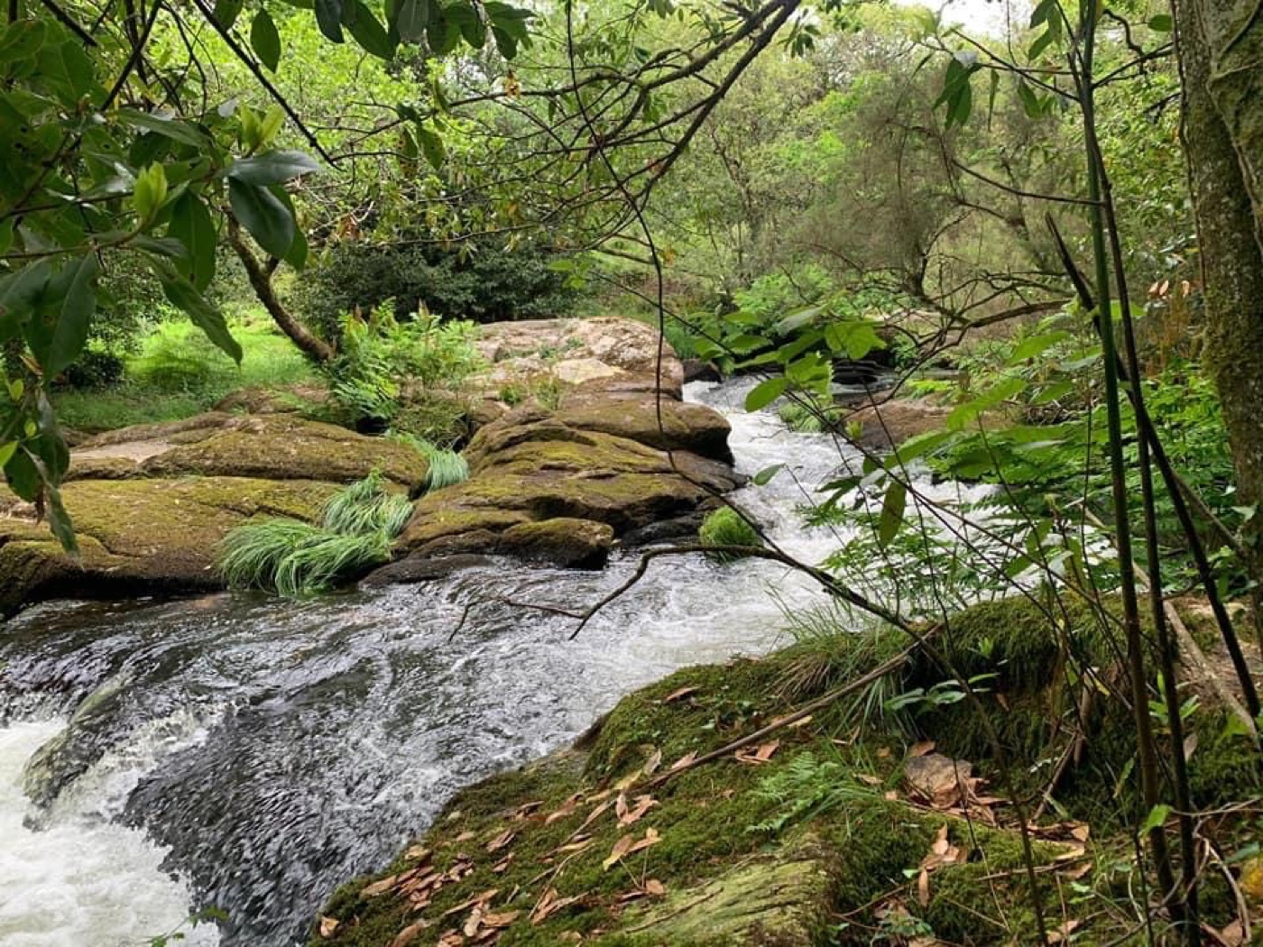 Río Grande integrado en la finca de A Casa do Muiñeiro